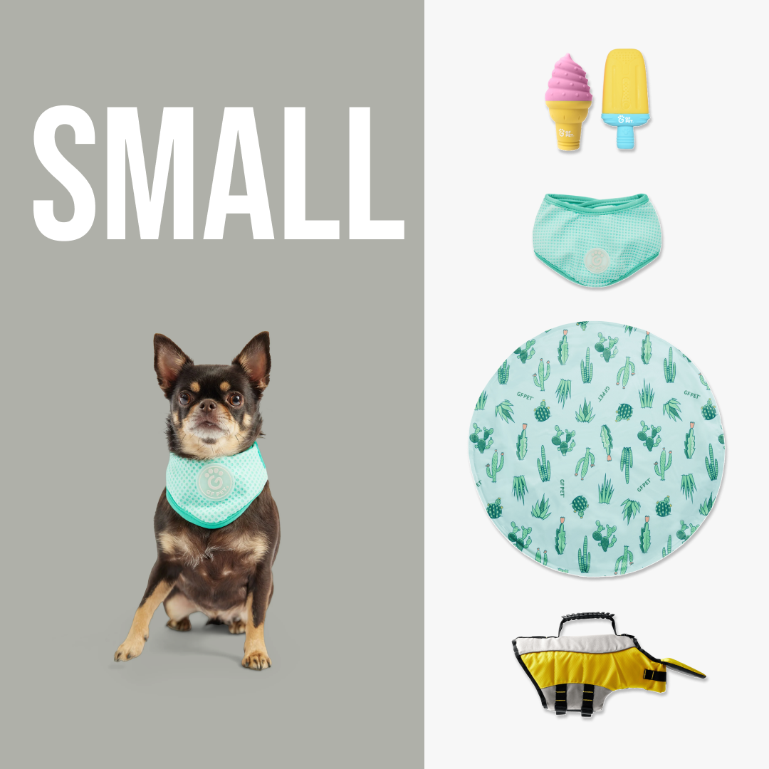 GF-Pet - Beach Buddy Cooling Set | Small Dog