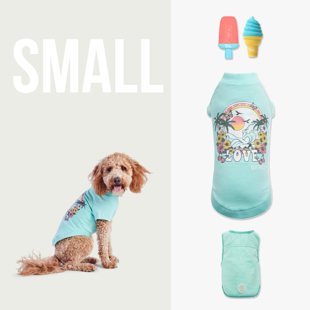 Cool & Chic | Premium Summer Cooling Set | Small Dog