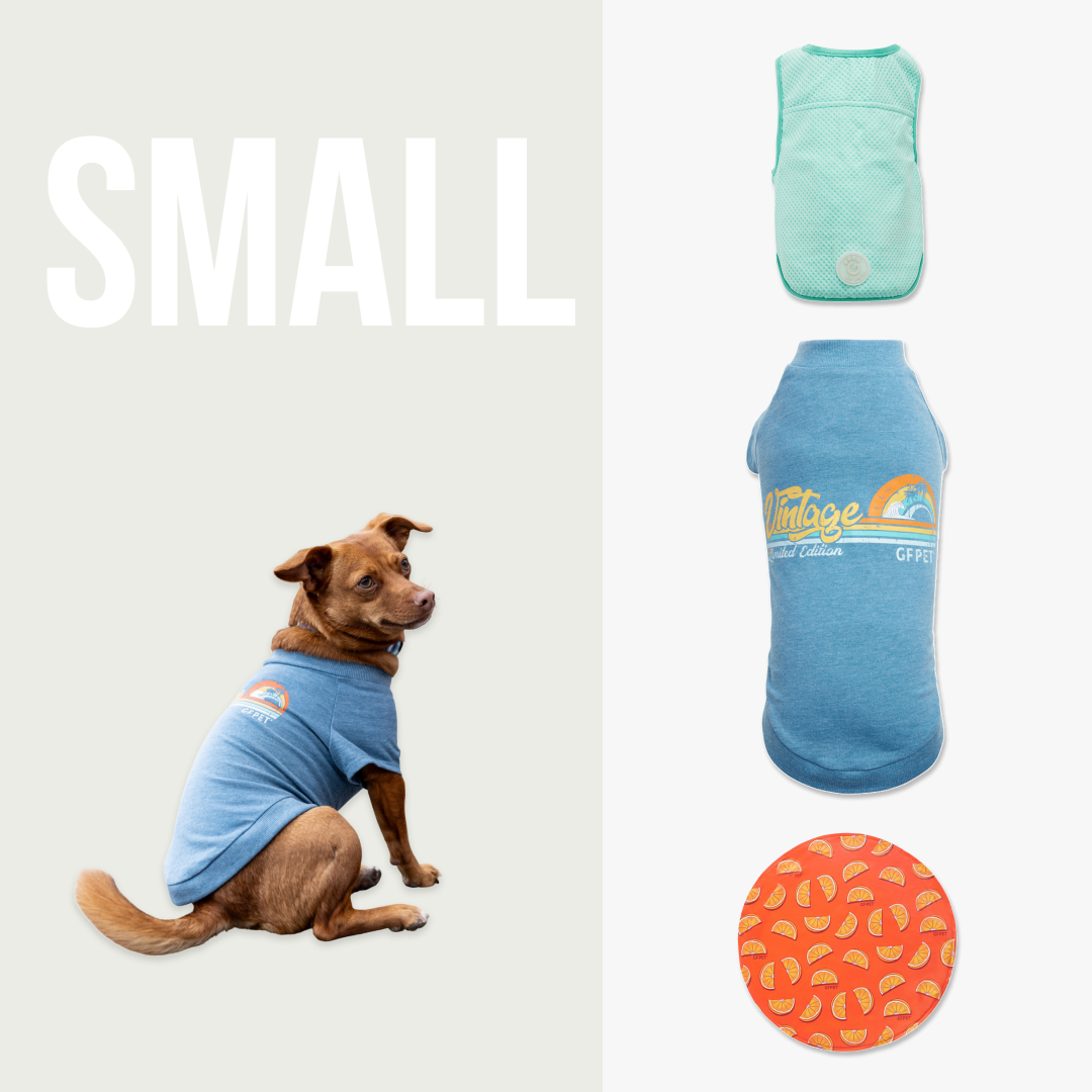 Cooling Pup Cruise Kit | Small Dog